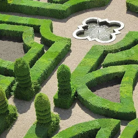 The Originals City, Le Savoy, מלון 3*