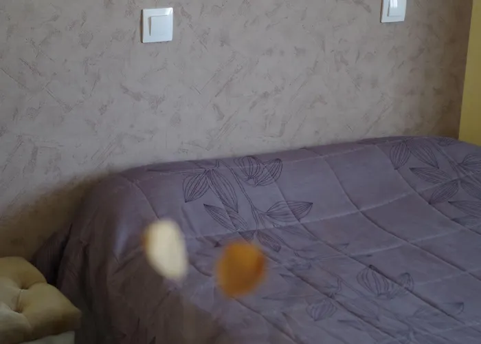 The Originals City, Le Savoy, קאין